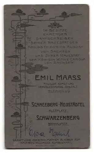 Fotografie Emil Maass, Schneeberg i. Sa., junger Mann Emil im Anzug mit Tolle