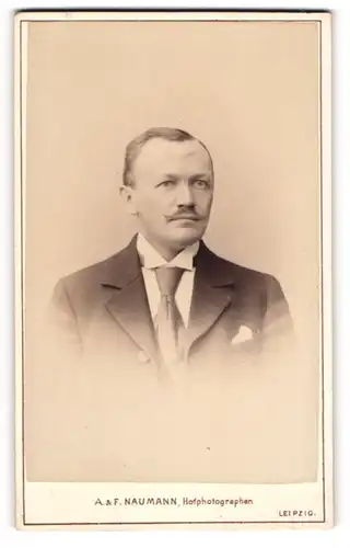 Fotografie A. & F. Naumann, Leipzig, Portrait Herr Michael im Anzug mit Mustasch, 1898