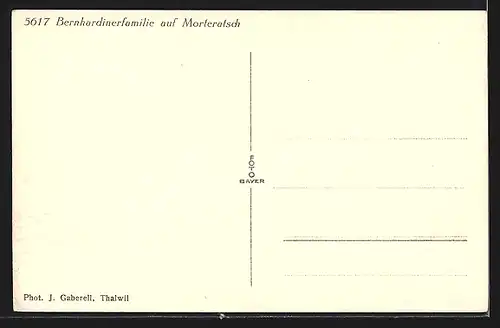 AK Bernhardinerfamilie auf Morteratsch