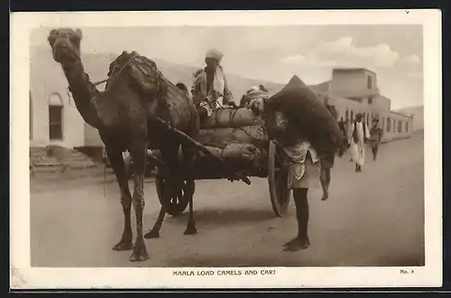 AK Jemen, Maala load Camels and Cart, Kamel