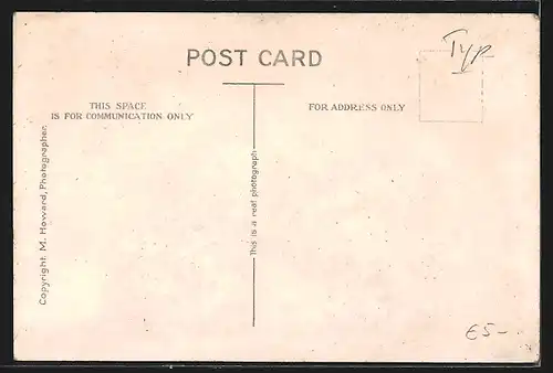 AK Aden, Camel at rest after feeding