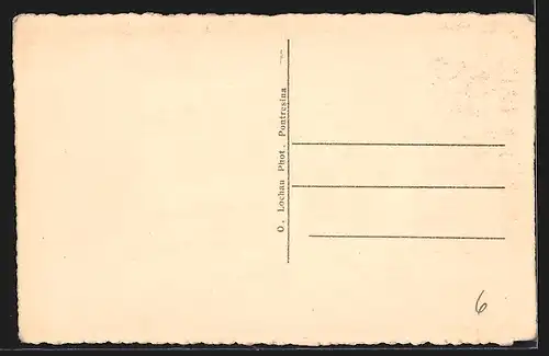 AK Murmeltiere in freier Wildbahn