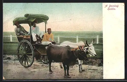 AK Bombay, Ochsen-Reckla mit Fahrgästen