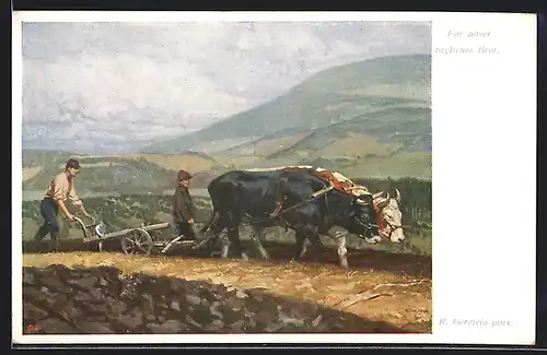 AK Bauer beim Pflügen mit Ochsen-Gespann