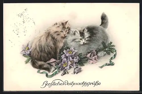 AK Zwei Langhaar-Katzen mit Blumen, Weihnachtsgruss