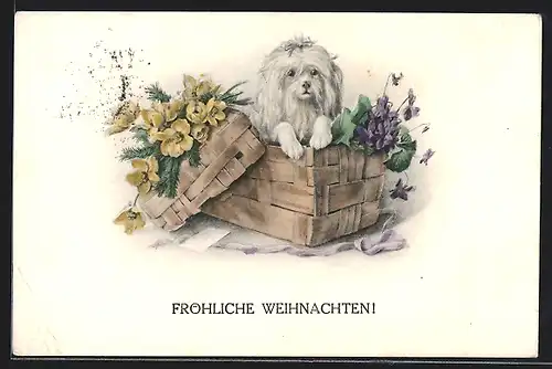 AK Pekinese mit Blumen in einer Spanschachtel, Weihnachtsgruss