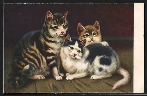 AK Drei junge Katzen auf einem Holzboden