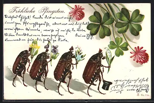 AK Vier Maikäfer als Pfingstbesucher mit Blumen