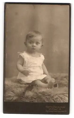 Fotografie Herm. Hauschild, Zittau i / S., Portrait niedliches Kleinkind im weissen Hemd auf Fell sitzend