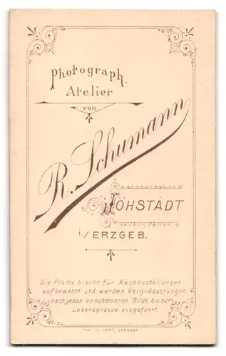 Fotografie R. Schumann, Jöhstadt, Portrait junger Herr im Anzug mit Fliege und Zwirbelbart