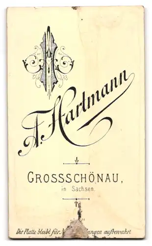 Fotografie A. Hartmann, Grossschönau, Portrait junge Dame im eleganten Kleid mit Zwicker