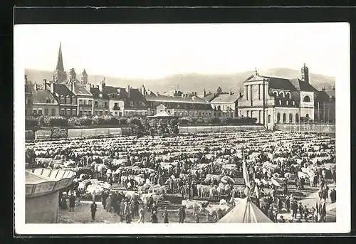 AK Autun, Place du Champ de Mars un Jour de Foire, Rindermarkt