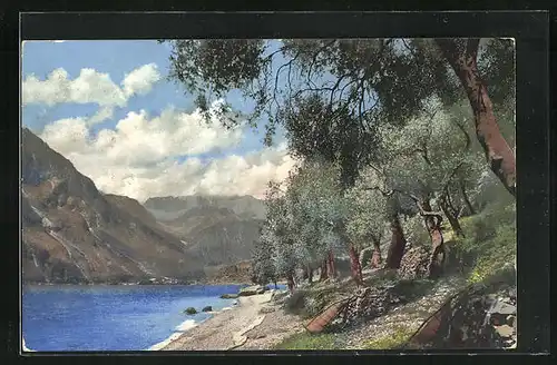 Künstler-AK Photochromie Nr. 1837: Uferlandschaft mit Bäumen und Bergen