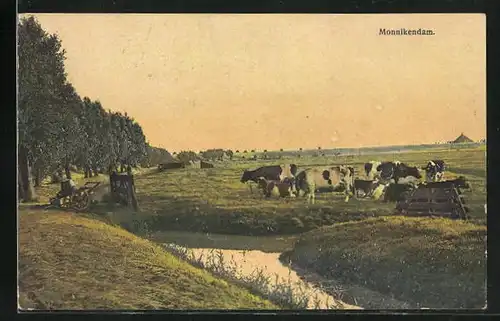 Künstler-AK Photochromie Nr. 2935: Monnikendam, Kühe auf einer Weide