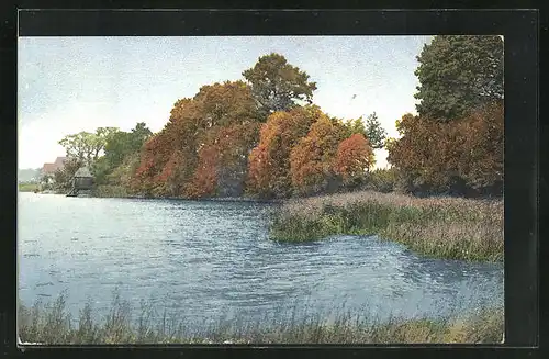 Künstler-AK Photochromie Nr. 1332: Uferpartie mit Herbstbäumen und Häusern