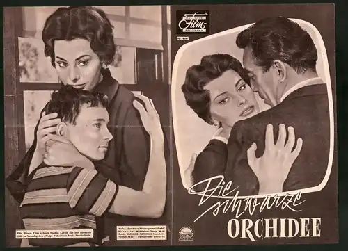 Filmprogramm DNF Nr. 4347, Die schwarze Orchidee, Sophie Loren, Anthony Quinn, Regie Martin Ritt