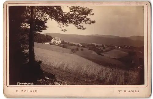 Fotografie H. Kaiser, St. Blasien, Ansicht Schweigmatt, Panorama