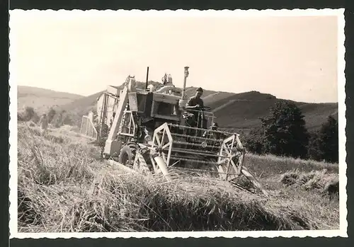 Fotografie Mähdrescher Lanz, Landmaschine im Einsatz