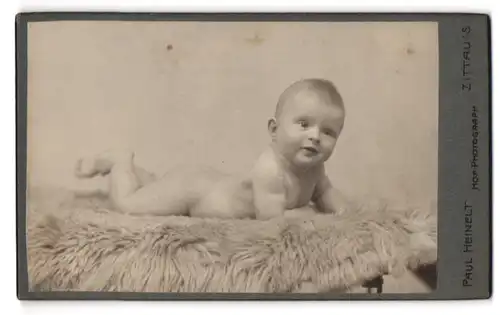 Fotografie Paul Heinelt, Zittau i. S., Portrait lächelndes Baby liegt auf einem Fell