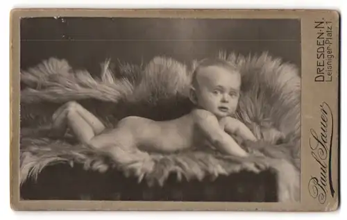 Fotografie Paul Sauer, Dresden-N., süsses Baby liegt auf einer Felldecke