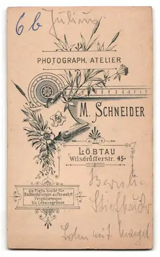 Fotografie M. Schneider, Löbtau, Portrait stattlicher Herr im Anzug mit Fliege und Vollbart