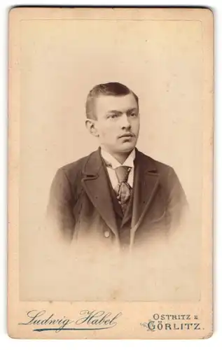 Fotografie Ludwig Habel, Ostritz, Portrait junger Herr in modischer Kleidung mit Krawatte