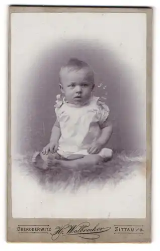 Fotografie H. Walbrecker, Zittau i / S., Portrait niedliches Kleinkind im weissen Hemd auf Fell sitzend