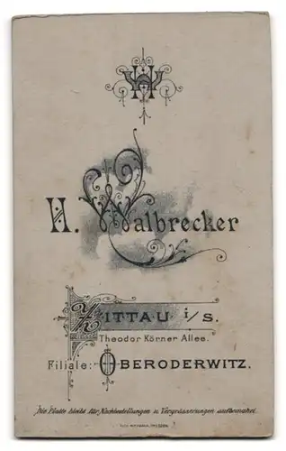 Fotografie H. Walbrecker, Zittau i / S., Portrait niedliches Kleinkind im weissen Hemd auf Fell sitzend