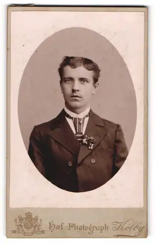 Fotografie Kolby, Plauen i / V., Portrait junger Herr im Anzug mit Krawatte und Ansteckblumen
