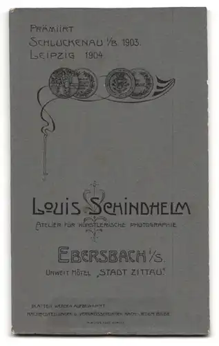 Fotografie Louis Schindhelm, Ebersbach i / S., Portrait bürgerliche Dame in modischer Kleidung