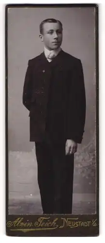 Fotografie Alwin Teich, Neustadt i / S., Portrait junger Herr in zeitgenössischer Kleidung