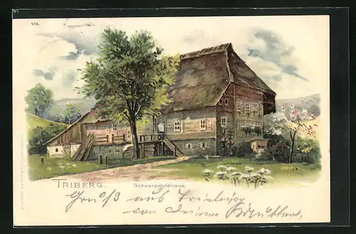 AK Triberg, Schwarzwaldhaus
