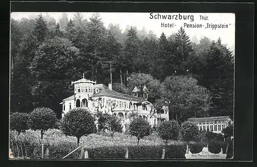 AK Schwarzburg i. Thür., Hotel-Pension Trippstein