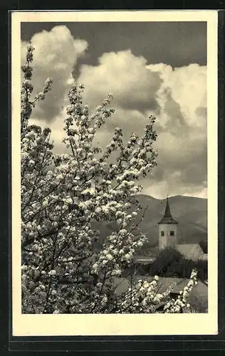 AK Turciansky Sv. Martin, Blühender Baum und Blick zur Kirche