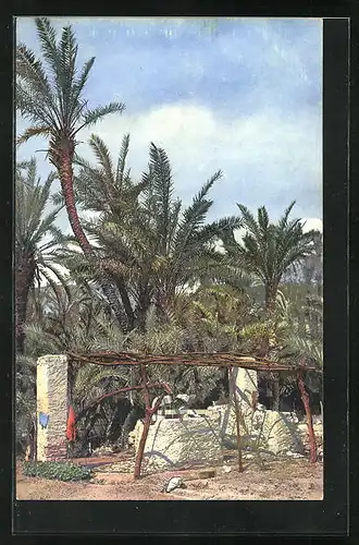 Künstler-AK Photochromie Nr. 2624: Bordighera, Brunnenpartie mit Palmen