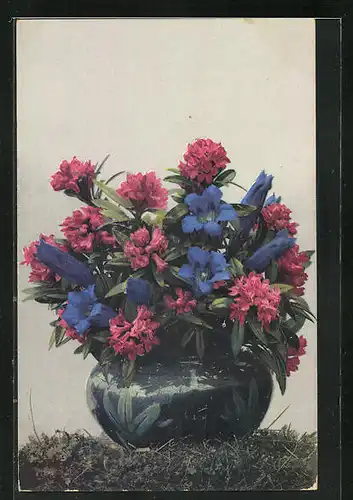 Künstler-AK Photochromie Nr. 486: Alpenblumen in einer Vase