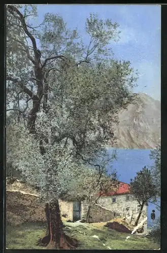 Künstler-AK Photochromie Nr. 1825: Uferpartie mit Haus und Bäumen