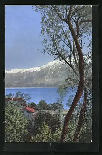 Künstler-AK Photochromie Nr. 1835: Uferlandschaft mit Bäumen und Bergen