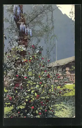 Künstler-AK Photochromie Nr. 1831: Ortspartie mit Baum und Strauch