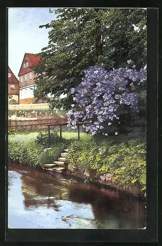 Künstler-AK Photochromie Nr. 3756: Uferpartie mit blühendem Fliederstrauch und Baum