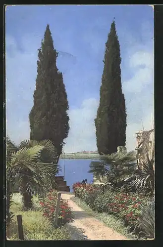 Künstler-AK Photochromie Nr. 1833: Sommertag mit Blick zum See