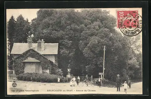 AK Neufchatel-en-Bray, Avenue du Chateau
