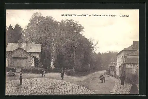 AK Neufchatel-en-Bray, Chateau de Valboury, L`Avenue
