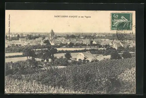 AK Saint-Denis-d`Anjou, Panorama et ses Vignes