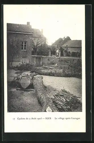 AK Iges, Unwetter vom 9.8.1905, Vom Sturm gefällter Baum