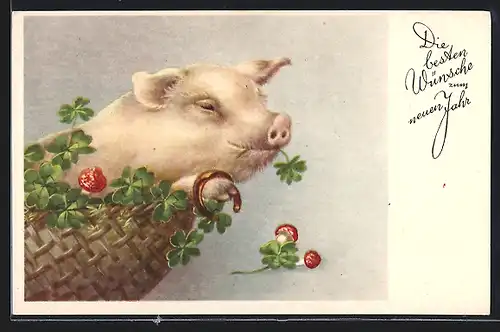AK Schwein im Korb mit Hufeisen und Glücksklee, Neujahrsgruss