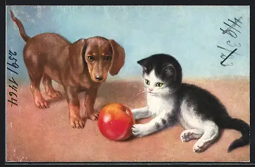 AK Junger Dackel und ein Kätzchen mit einem grossen Apfel