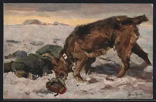 Künstler-AK Sanitätshund spührt verletzten Soldaten auf