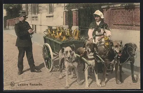 AK Flandrische Melkfrau mit vierköpfigem Hundegespann