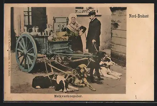 AK Nord-Brabant, Milchverkäufer mit Hundegespann